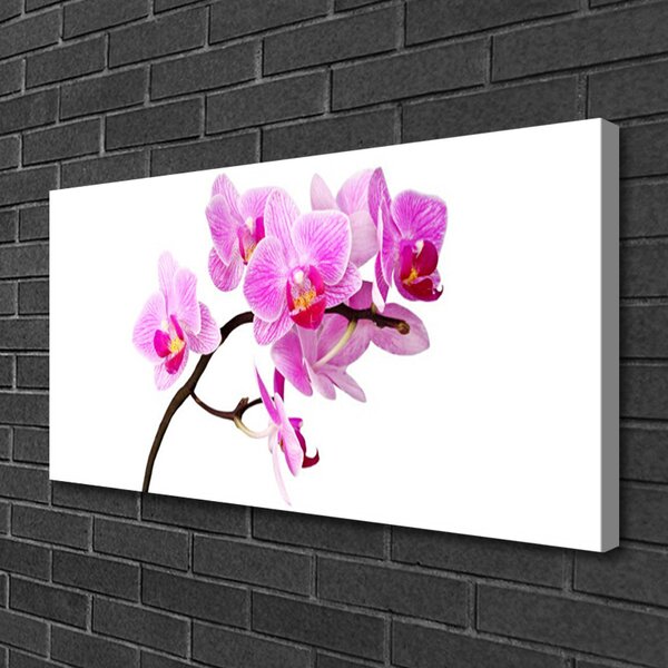 Obraz na plátne Kvety rastlina príroda 100x50 cm