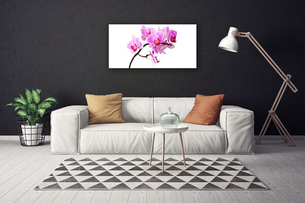 Obraz na plátne Kvety rastlina príroda 100x50 cm