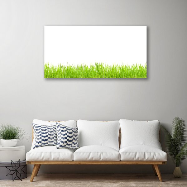 Obraz Canvas Tráva rastlina príroda 100x50 cm