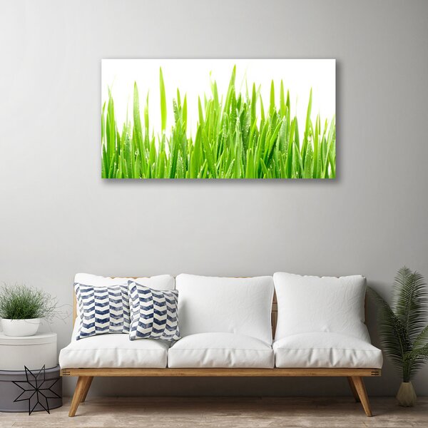 Obraz Canvas Tráva rastlina príroda 100x50 cm