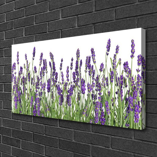 Obraz Canvas Kvety rastlina príroda 100x50 cm