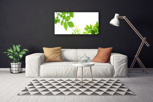 Obraz Canvas Plátky rastlina príroda 100x50 cm