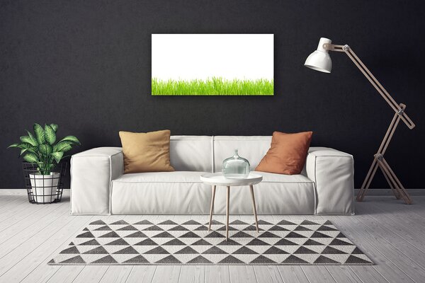 Obraz Canvas Tráva rastlina príroda 100x50 cm