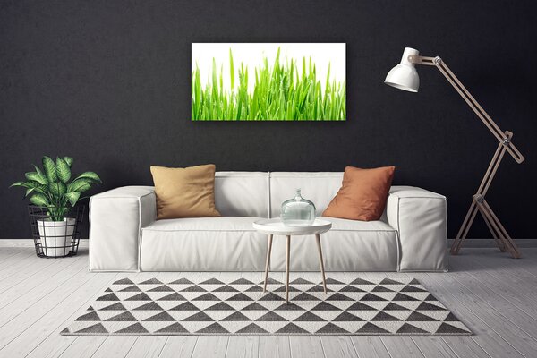 Obraz Canvas Tráva rastlina príroda 100x50 cm