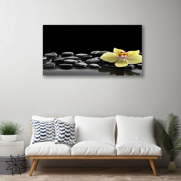 Obraz Canvas Kvet kamene kuchyňa 100x50 cm