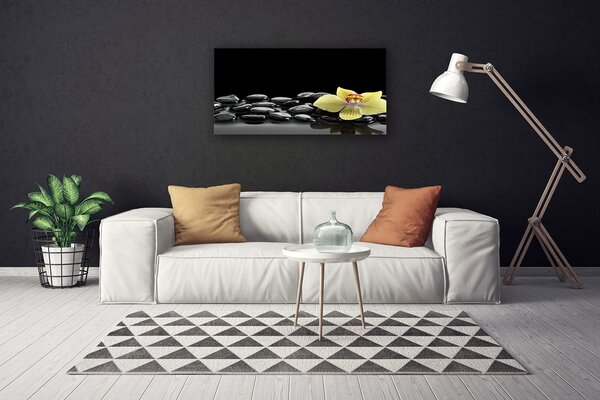 Obraz Canvas Kvet kamene kuchyňa 100x50 cm