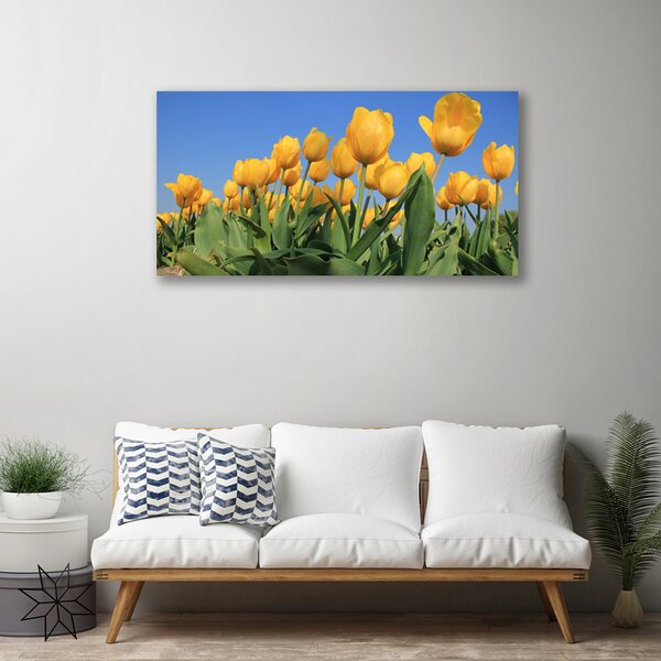 Obraz Canvas Tulipány kvety rastlina 100x50 cm