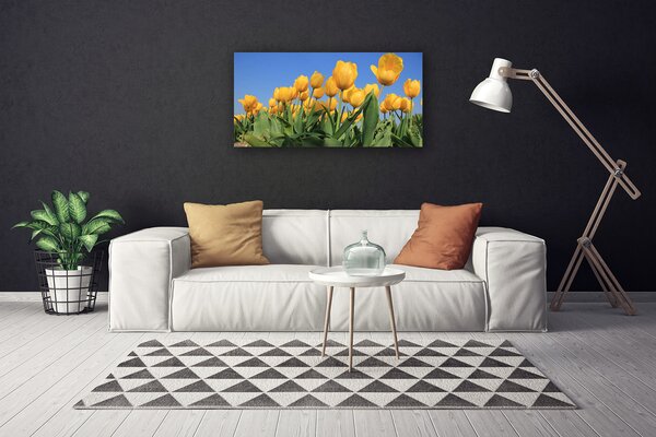 Obraz Canvas Tulipány kvety rastlina 100x50 cm