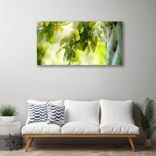 Obraz Canvas Jablká vetva strom príroda 100x50 cm