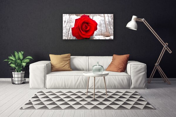 Obraz Canvas Ruže kvet rastlina 100x50 cm