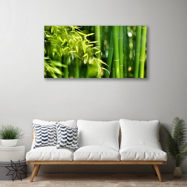 Obraz Canvas Bambus listy rastlina 100x50 cm