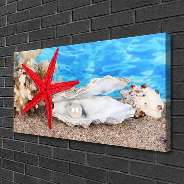 Obraz Canvas Hviezdice mušle príroda 100x50 cm