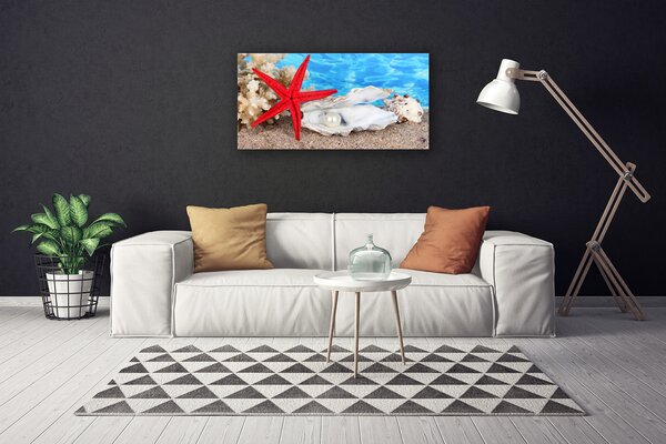 Obraz Canvas Hviezdice mušle príroda 100x50 cm