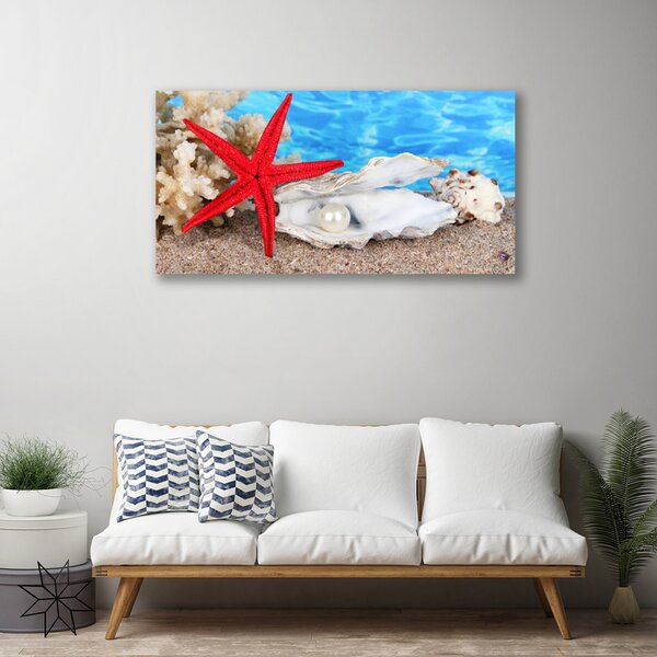 Obraz Canvas Hviezdice mušle príroda 100x50 cm