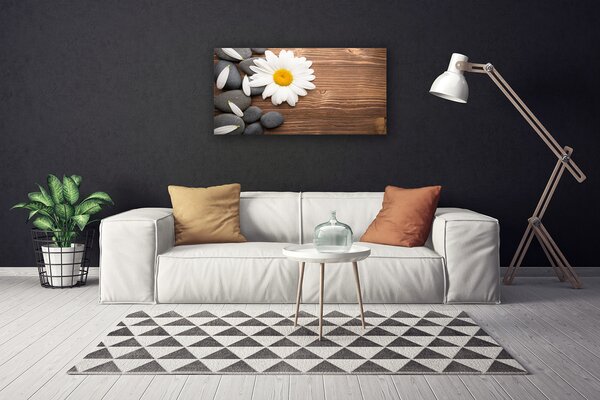 Obraz Canvas Sedmokráska kamene rastlina 100x50 cm