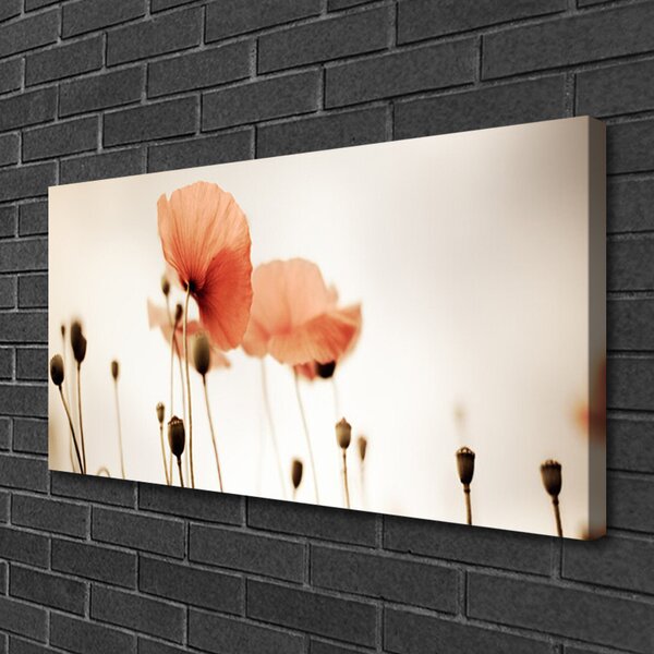 Obraz Canvas Maky rastlina príroda 100x50 cm