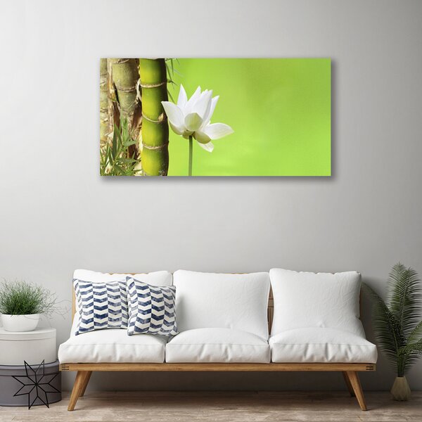 Obraz Canvas Bambus stonka rastlina príroda 100x50 cm