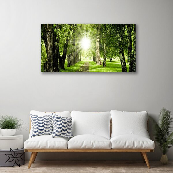Obraz Canvas Les slnko chodník príroda 100x50 cm