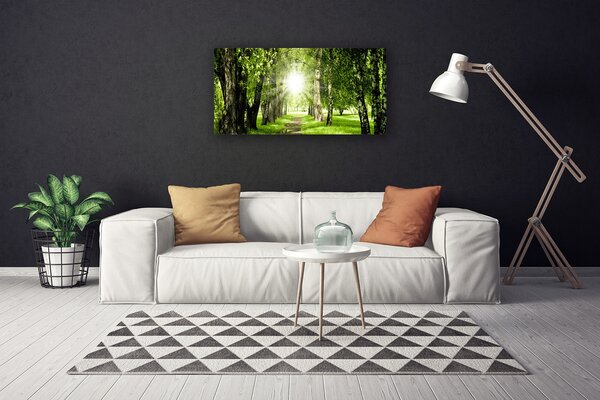 Obraz Canvas Les slnko chodník príroda 100x50 cm