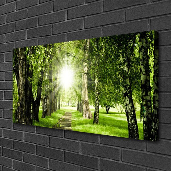 Obraz Canvas Les slnko chodník príroda 100x50 cm