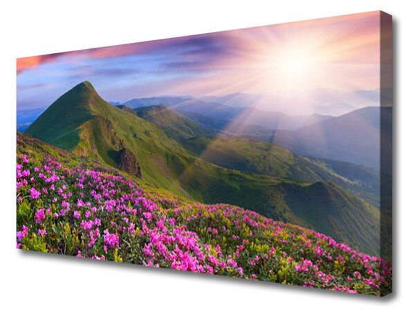 Obraz Canvas Hory lúka kvety príroda 100x50 cm