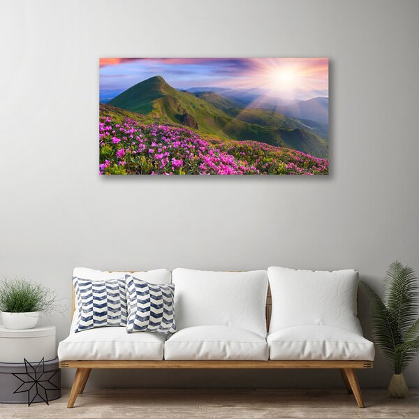 Obraz Canvas Hory lúka kvety príroda 100x50 cm