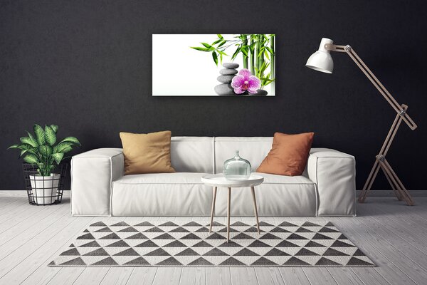 Obraz Canvas Bambus kamene zen umenie 100x50 cm