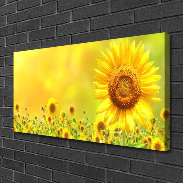 Obraz Canvas Slnečnica kvet rastlina 100x50 cm