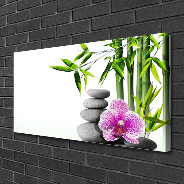 Obraz Canvas Bambus kamene zen umenie 100x50 cm