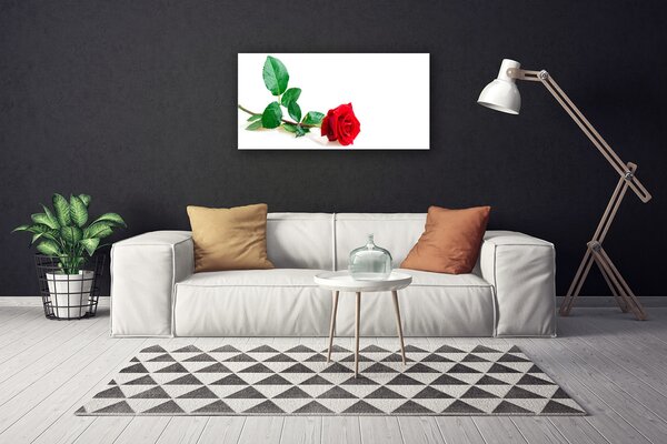 Obraz Canvas Ruže kvet rastlina 100x50 cm