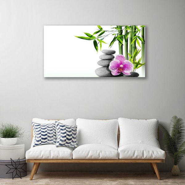 Obraz Canvas Bambus kamene zen umenie 100x50 cm