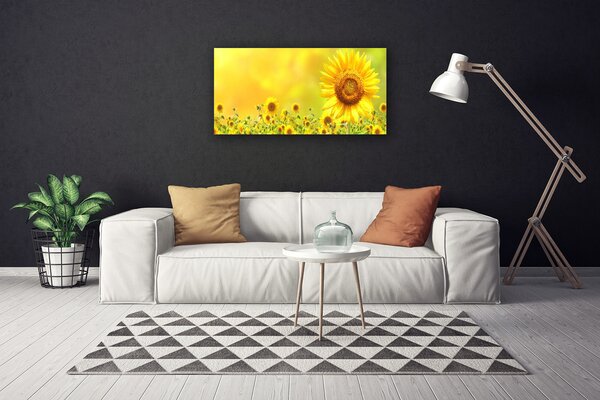 Obraz Canvas Slnečnica kvet rastlina 100x50 cm