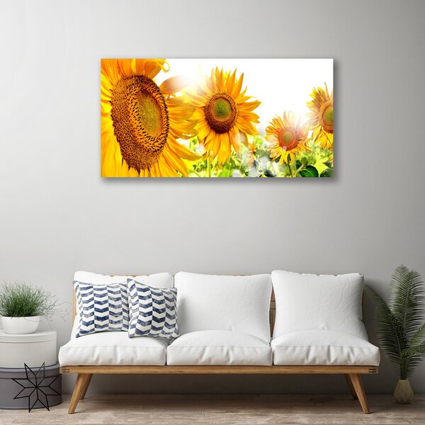 Obraz Canvas Slnečnica kvet rastlina 100x50 cm