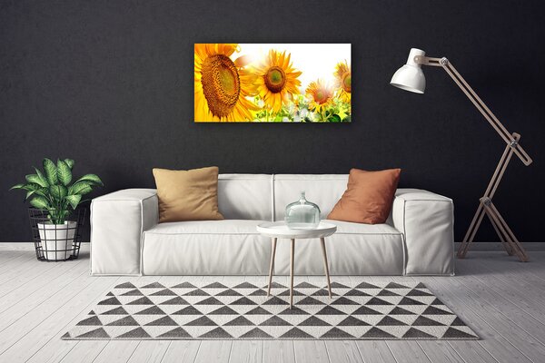 Obraz Canvas Slnečnica kvet rastlina 100x50 cm
