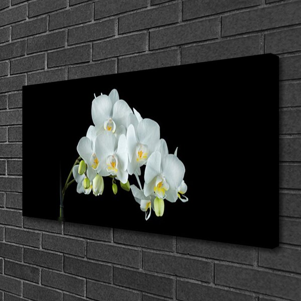 Obraz Canvas Kvety rastlina príroda 100x50 cm