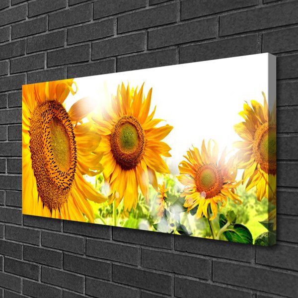 Obraz Canvas Slnečnica kvet rastlina 100x50 cm