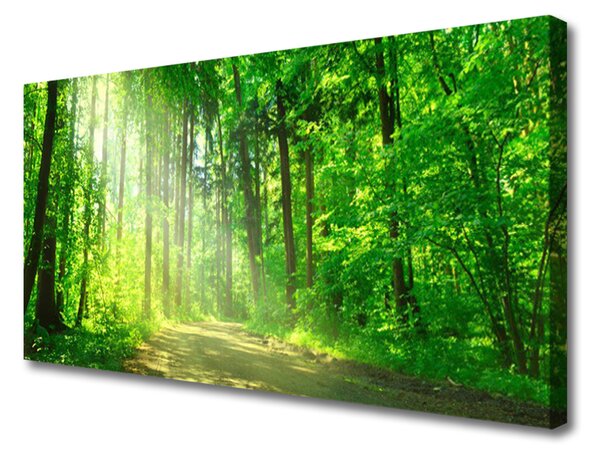 Obraz Canvas Les cestička stromy príroda 100x50 cm