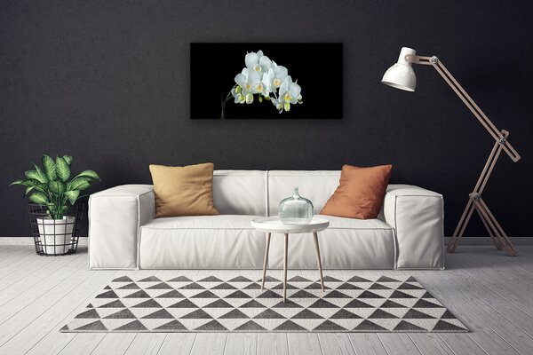 Obraz Canvas Kvety rastlina príroda 100x50 cm
