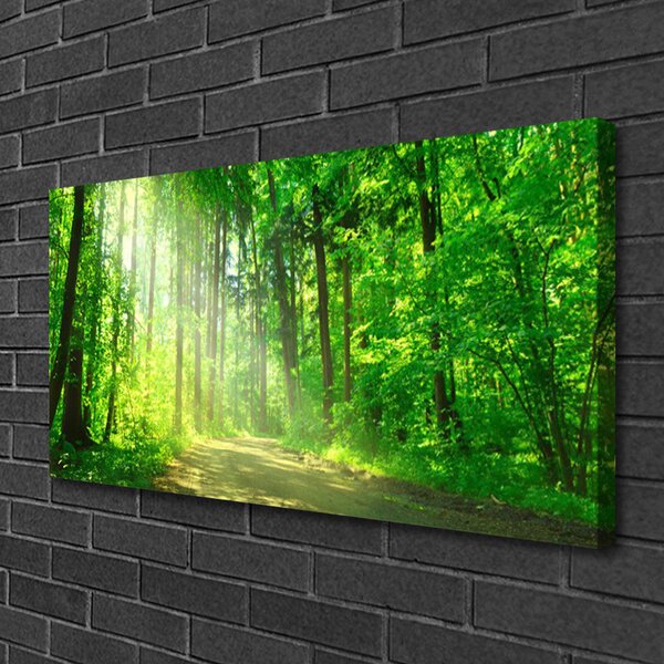 Obraz Canvas Les cestička stromy príroda 100x50 cm