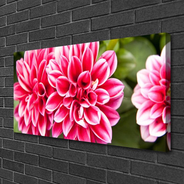 Obraz Canvas Kvety rastlina príroda 100x50 cm