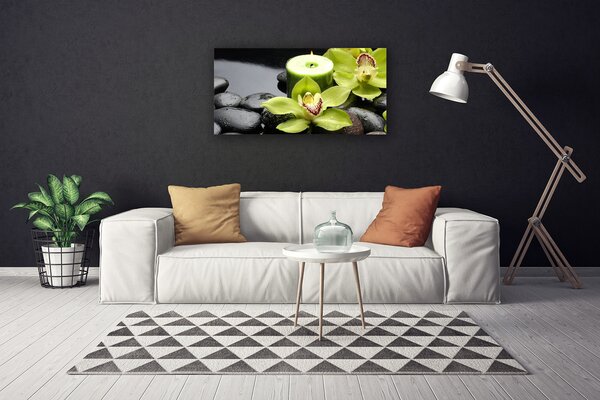 Obraz Canvas Kvet kamene rastlina 100x50 cm
