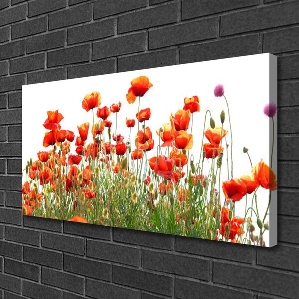 Obraz Canvas Maky rastlina príroda 100x50 cm