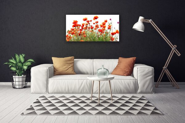 Obraz Canvas Maky rastlina príroda 100x50 cm