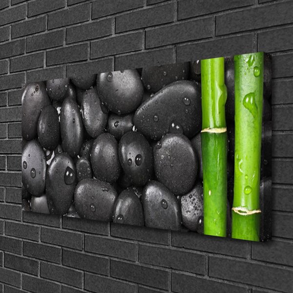 Obraz Canvas Bambus stonka kamene 100x50 cm
