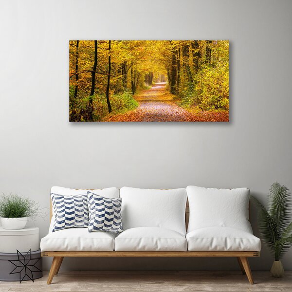 Obraz Canvas Les rastlina cestička príroda 100x50 cm