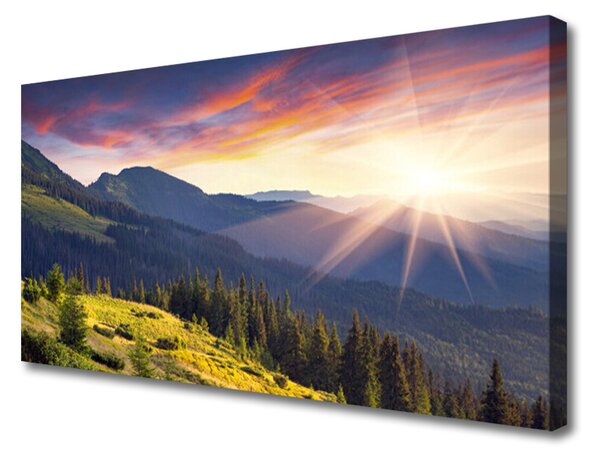 Obraz Canvas Hora les slnko krajina 100x50 cm