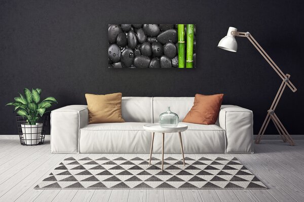 Obraz Canvas Bambus stonka kamene 100x50 cm