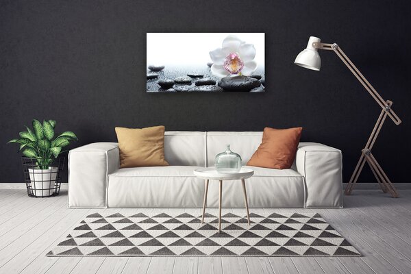 Obraz Canvas Kvet kamene umenie 100x50 cm