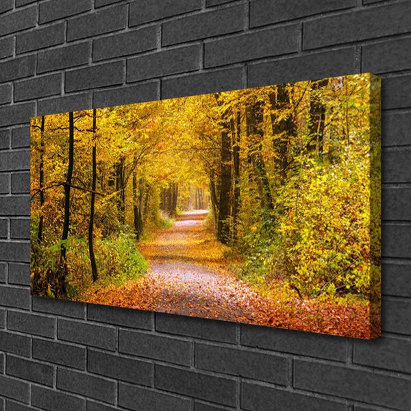 Obraz Canvas Les rastlina cestička príroda 100x50 cm