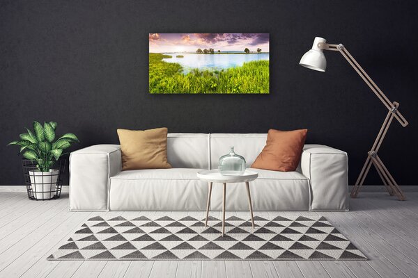 Obraz Canvas Tráva jazero príroda 100x50 cm